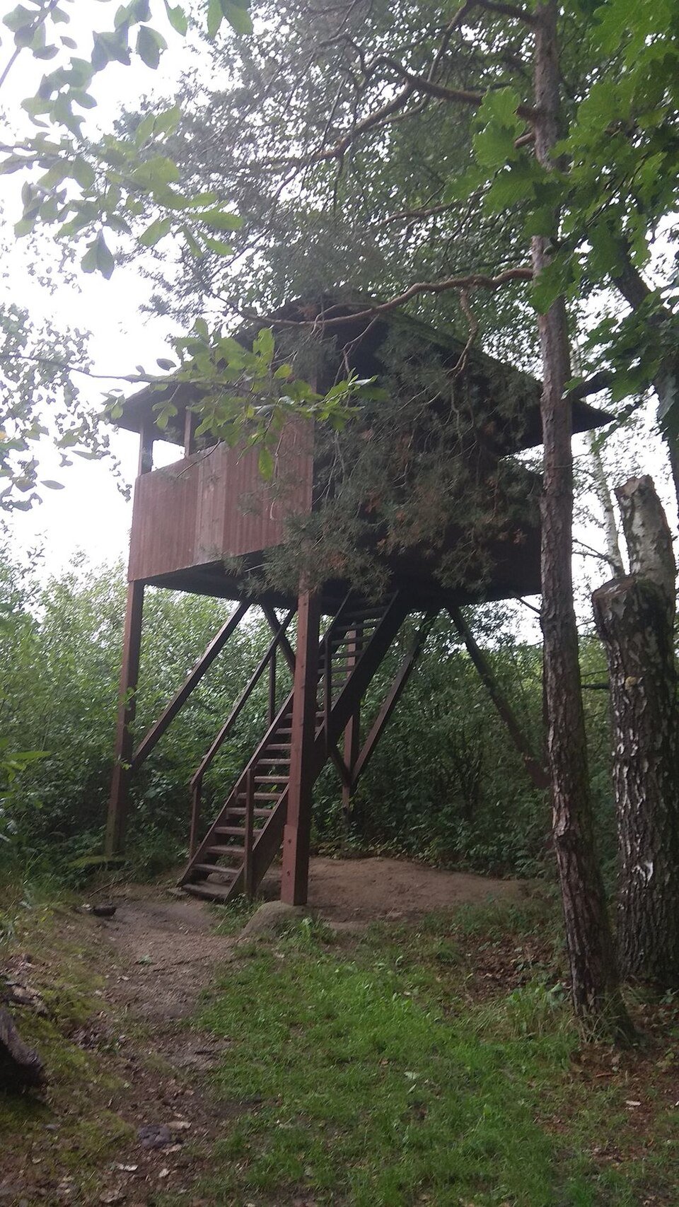 vyhlídková věž Lomnice nad Lužnicí